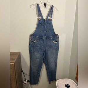 UNIVERSAL THREAD Blue Denim Overalls